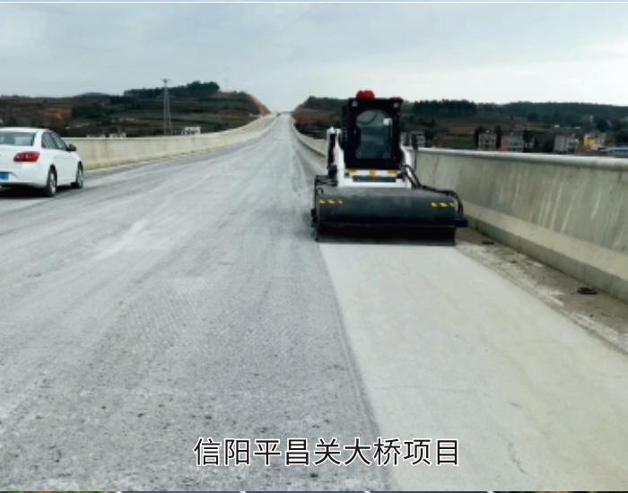 信陽平昌關(guān)大橋項目